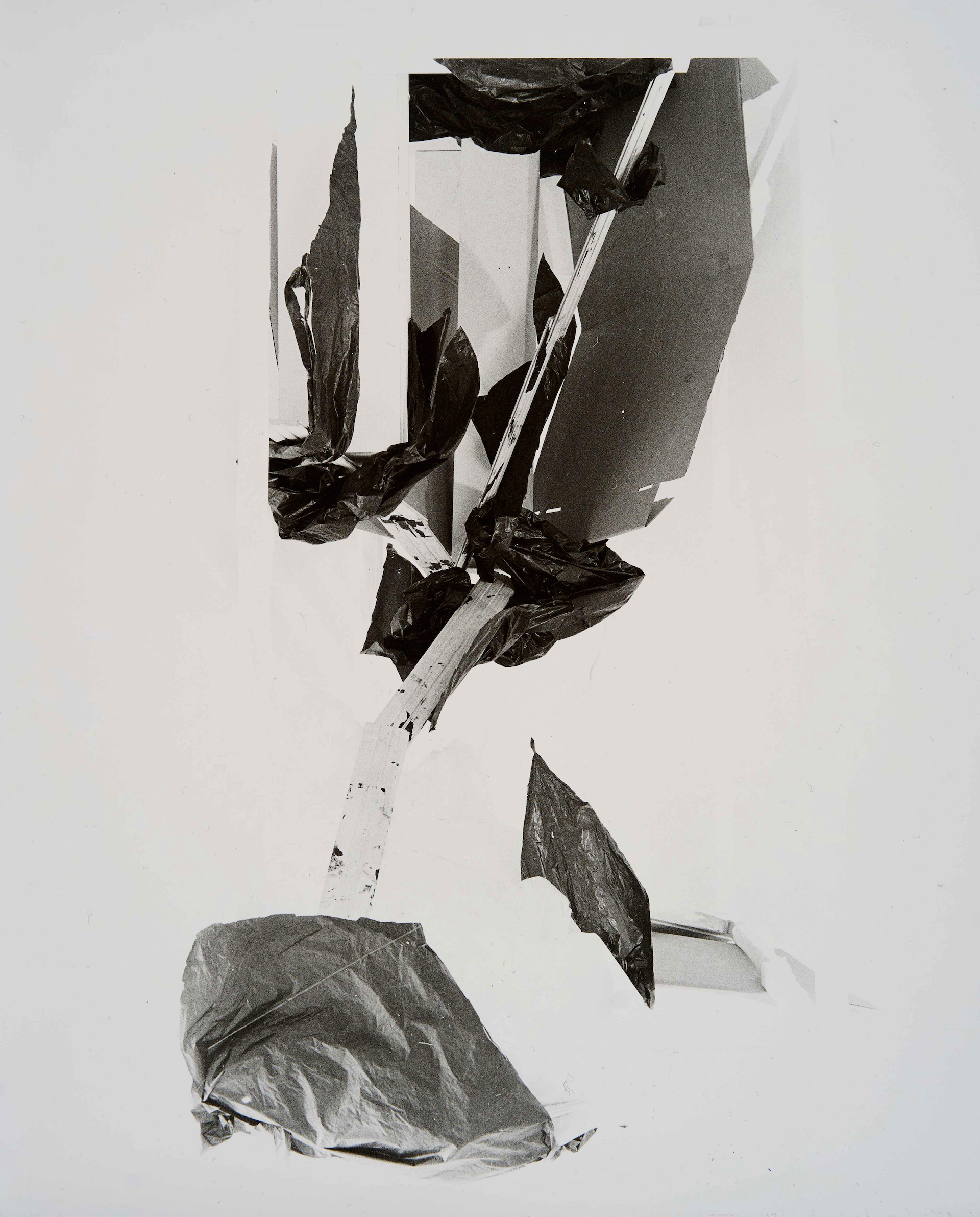 Johannes Bünemann, 2023, Endlose Existenz #6