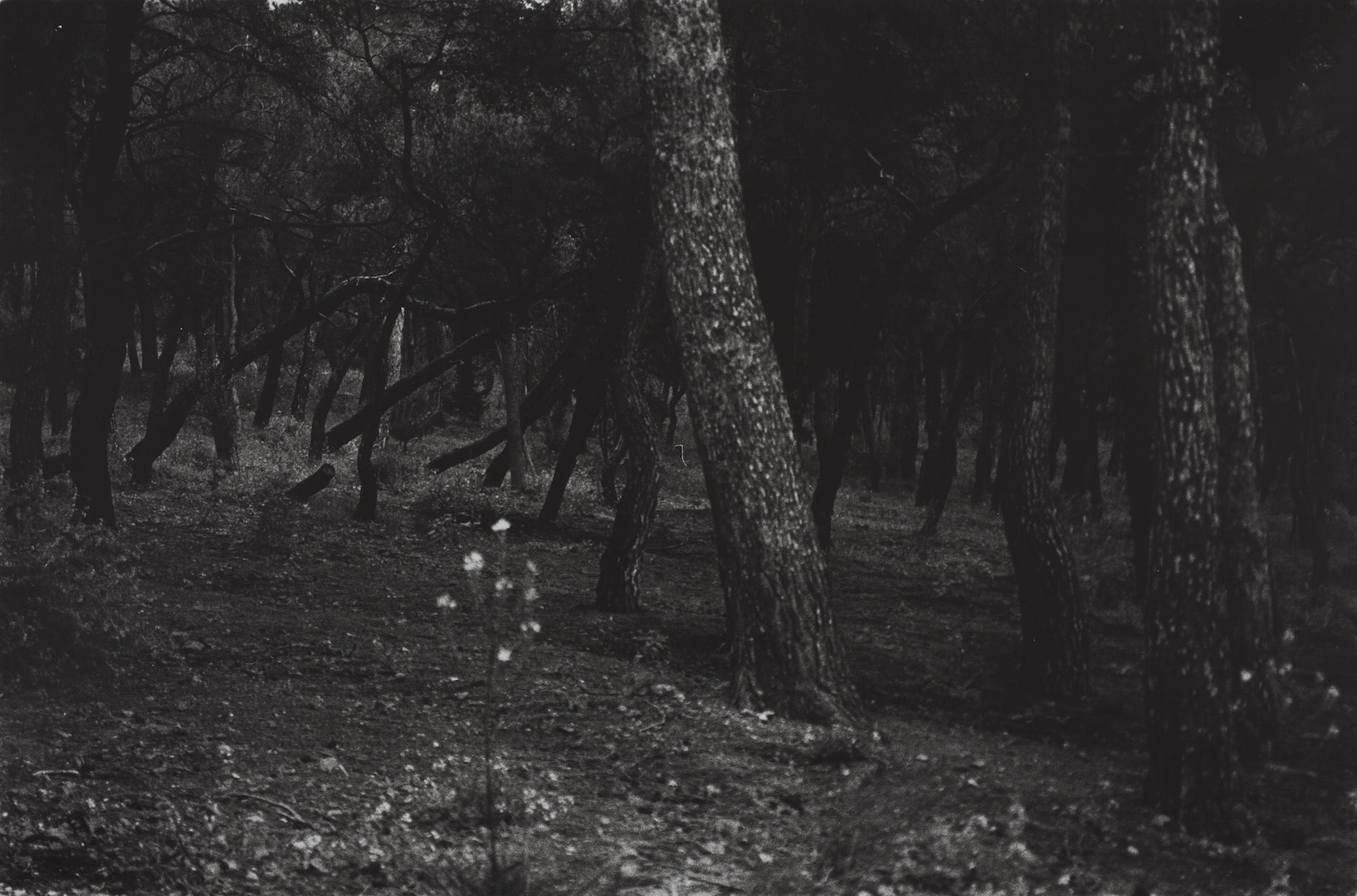 Johannes Bünemann, 2016, Flucht