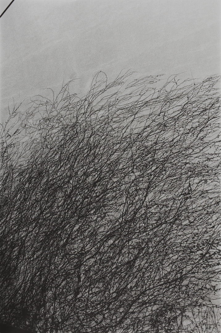 Johannes Bünemann, 2015, Ranke