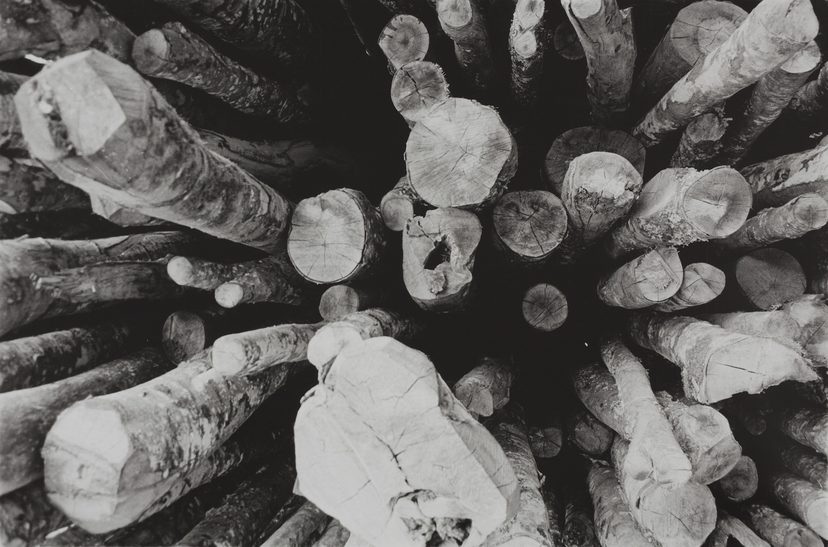 Johannes Bünemann, 2013, Stämme