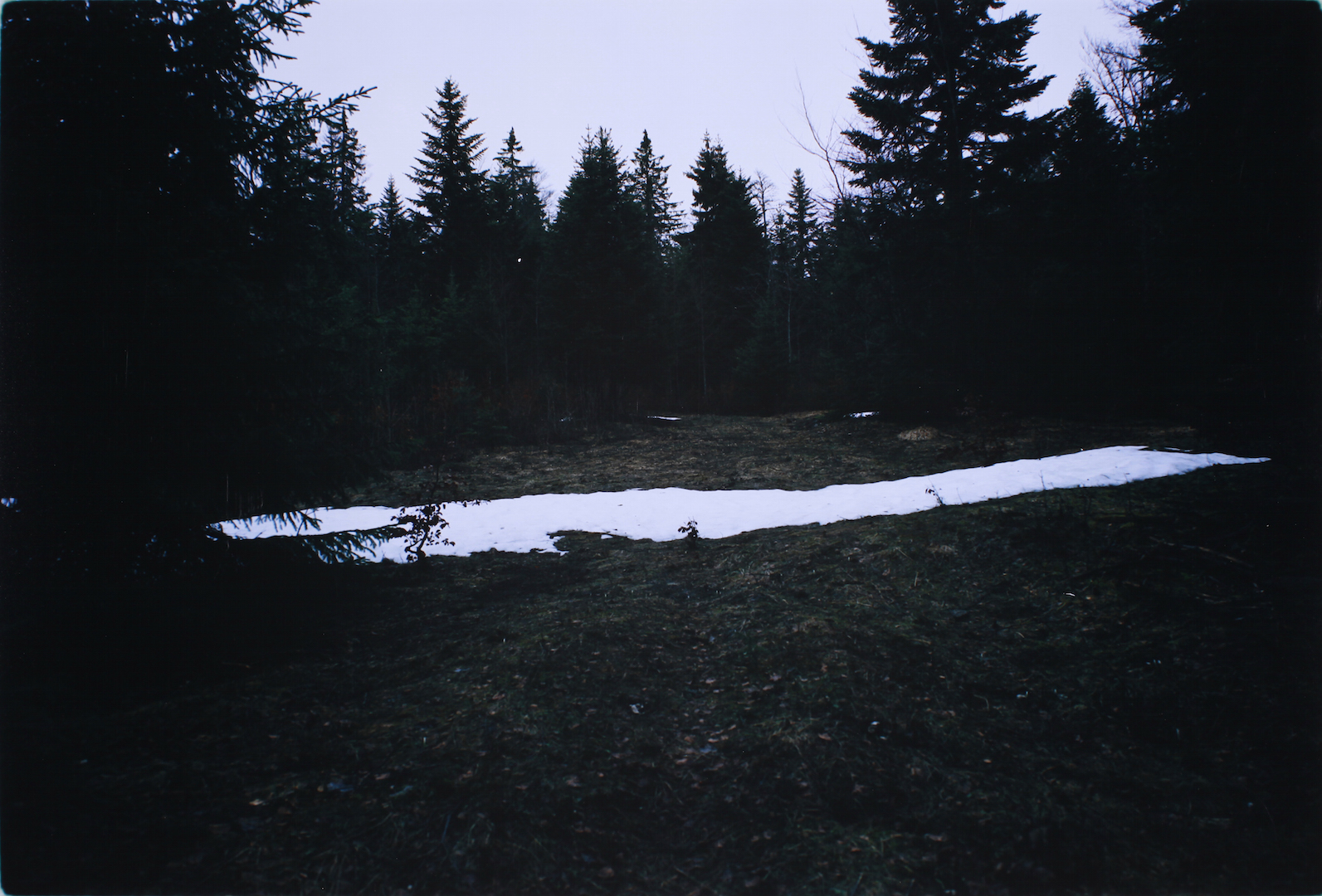 Johannes Bünemann, 2015, White Line